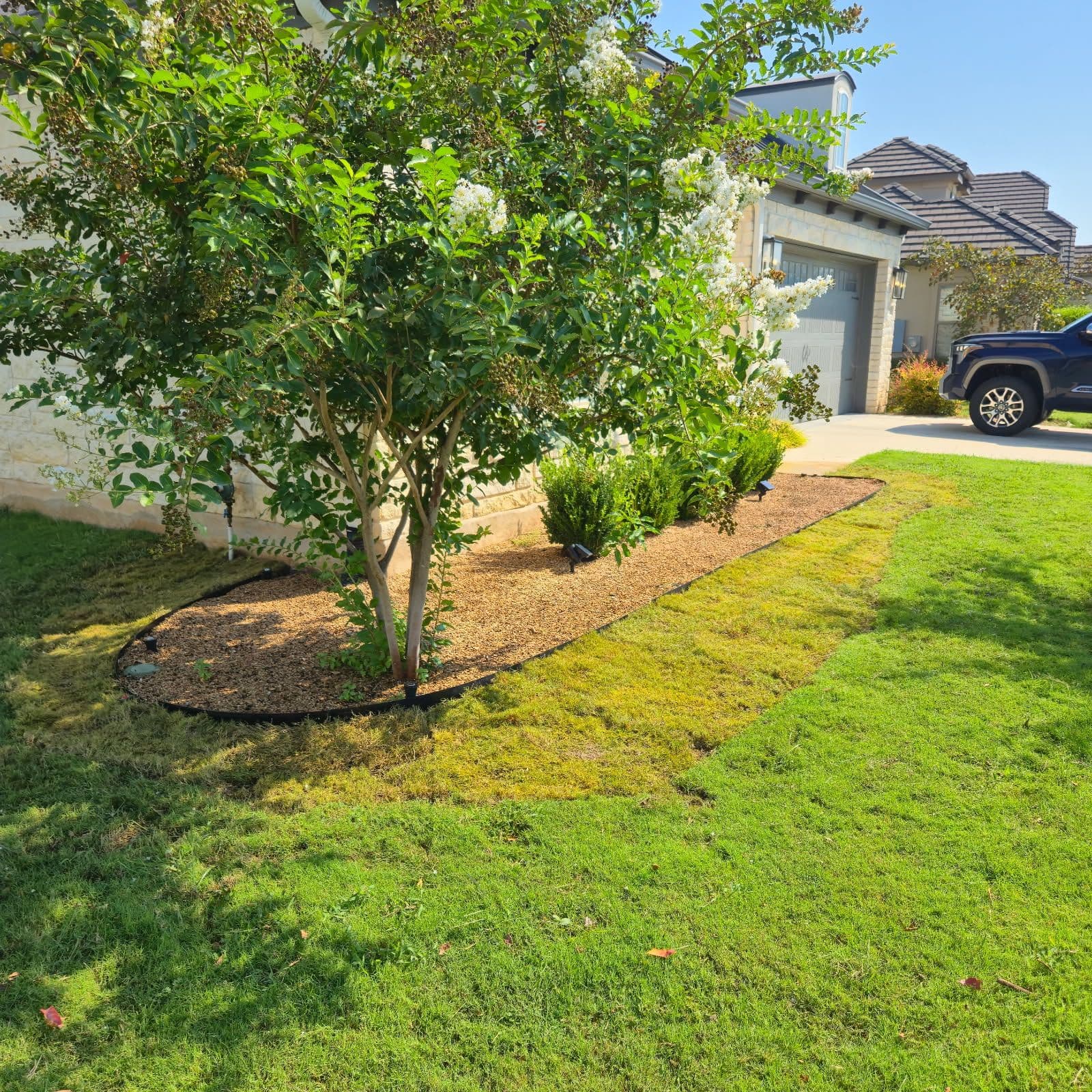 Sod Repair in Cimarron Hills image