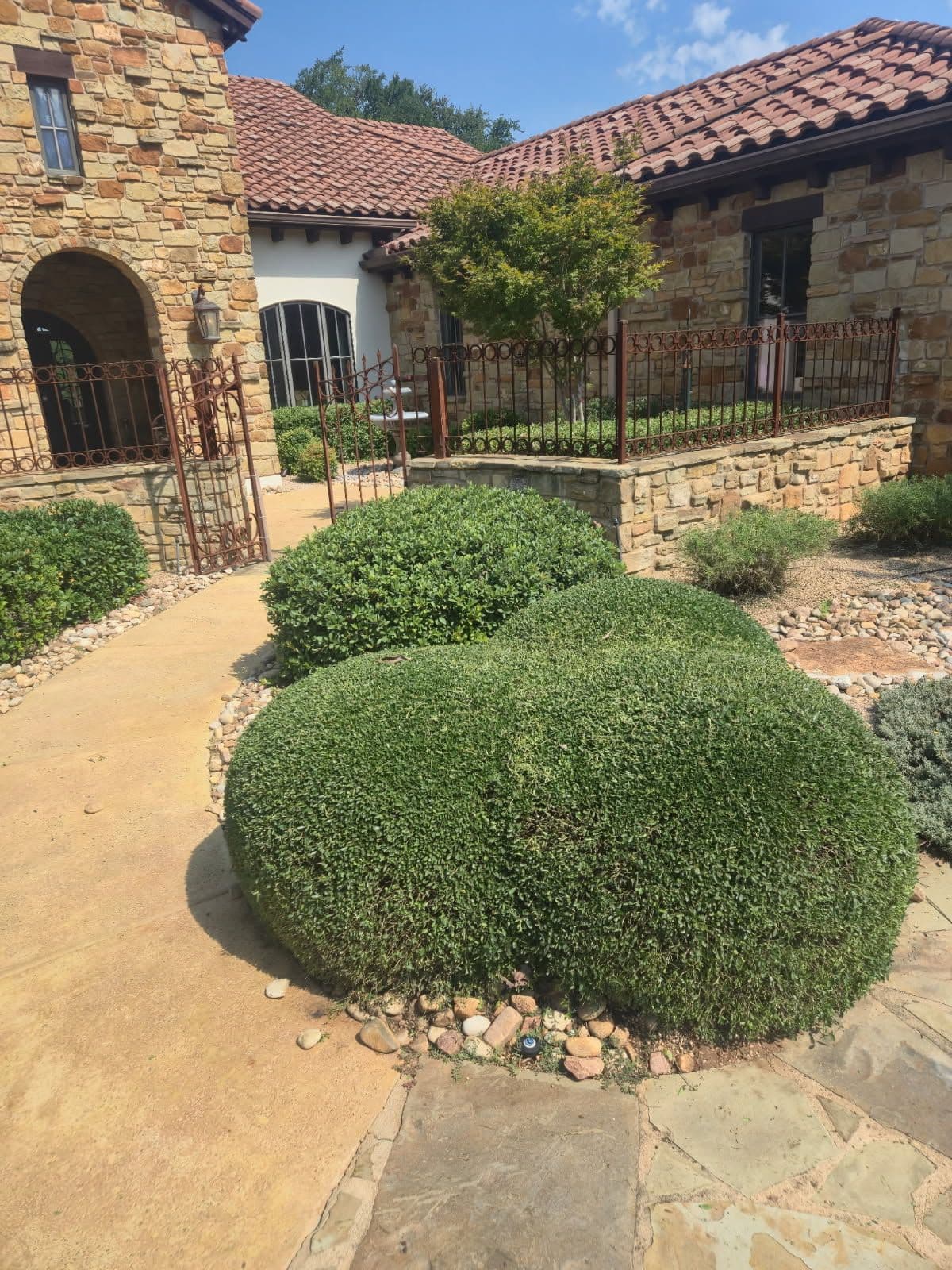 Gallery photos for Expert Shrub Trimming Enhances Curb Appeal: Image #1