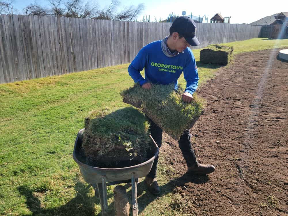 Hero image for Georgetown Lawn Care